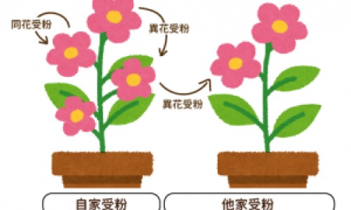 脂蛋白与脂肪的区别网 - 为你提供脂肪与脂蛋白的关系、脂蛋白与脂肪的区别是什么